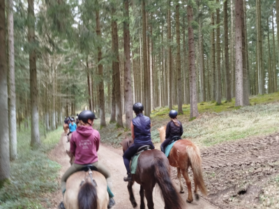 Oster-Reitcamp Reitzentrum Hausruckhof