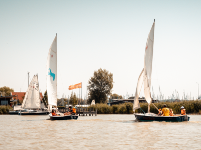 Sommer Segelcamp Neusiedler See 2026 Opti 1
