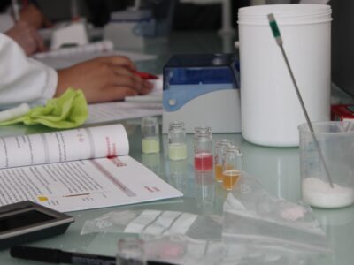 Summer Science Camp Junior in Wien (10–11 Jahre)