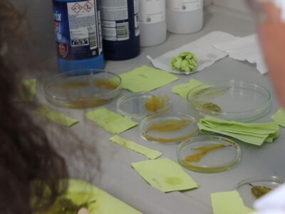 Summer Science Camp Routiniers in Wien (14–15 Jahre)