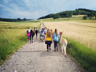 Alpaka Sommercamp Elsbach Niederösterreich 2026