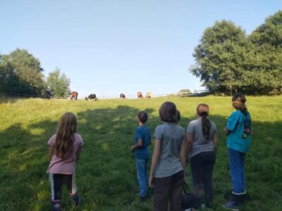 Pferdecamp Pöggstall Sommer 2026